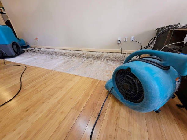 Professional Structural Drying technician working in Central City, IA